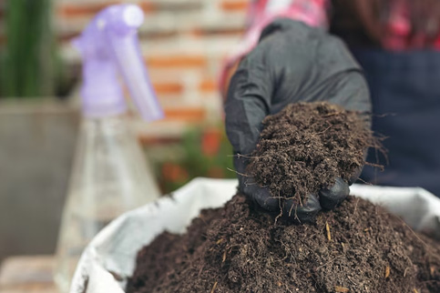 What is Guano Fertilizer? This is the explanation, history and benefits